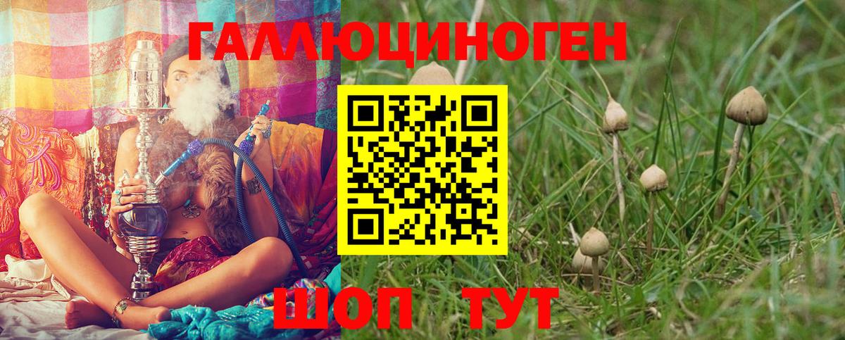 купить   Вход с VPN  Иваново  Псилоцибиновые грибы Magic Shrooms  Галлюциногенные грибы прущие грибы 